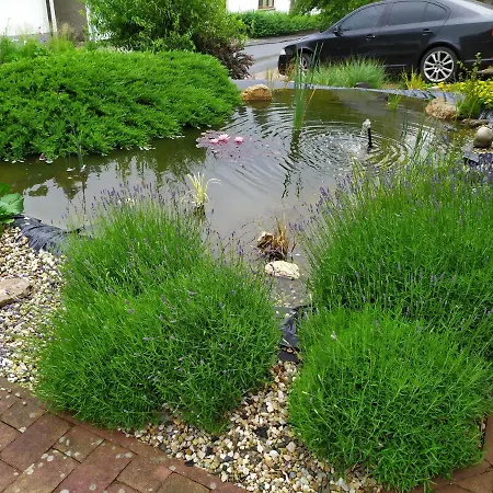 Ubytovani Iris Dolany  Экстерьер фото